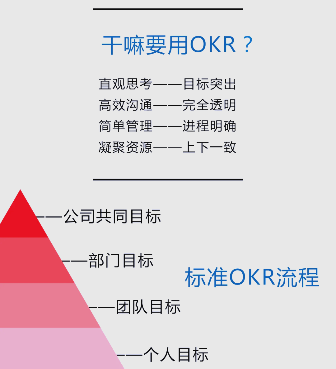 乐鱼体育官方网站-包含夺冠关键：冠军球队的成功秘籍的词条