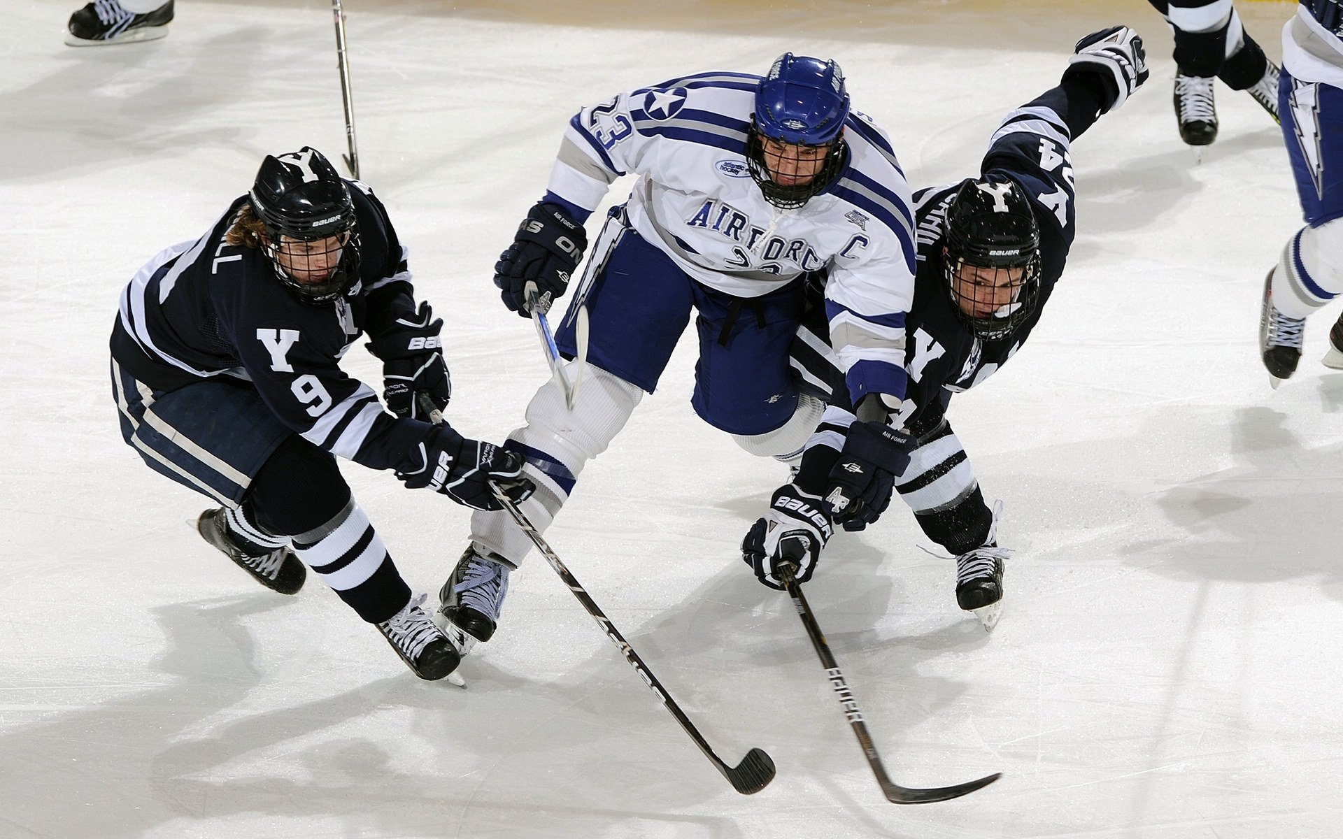 墨西哥马术协会与欧洲马术协会签署合作协议，共同举办国际赛事。