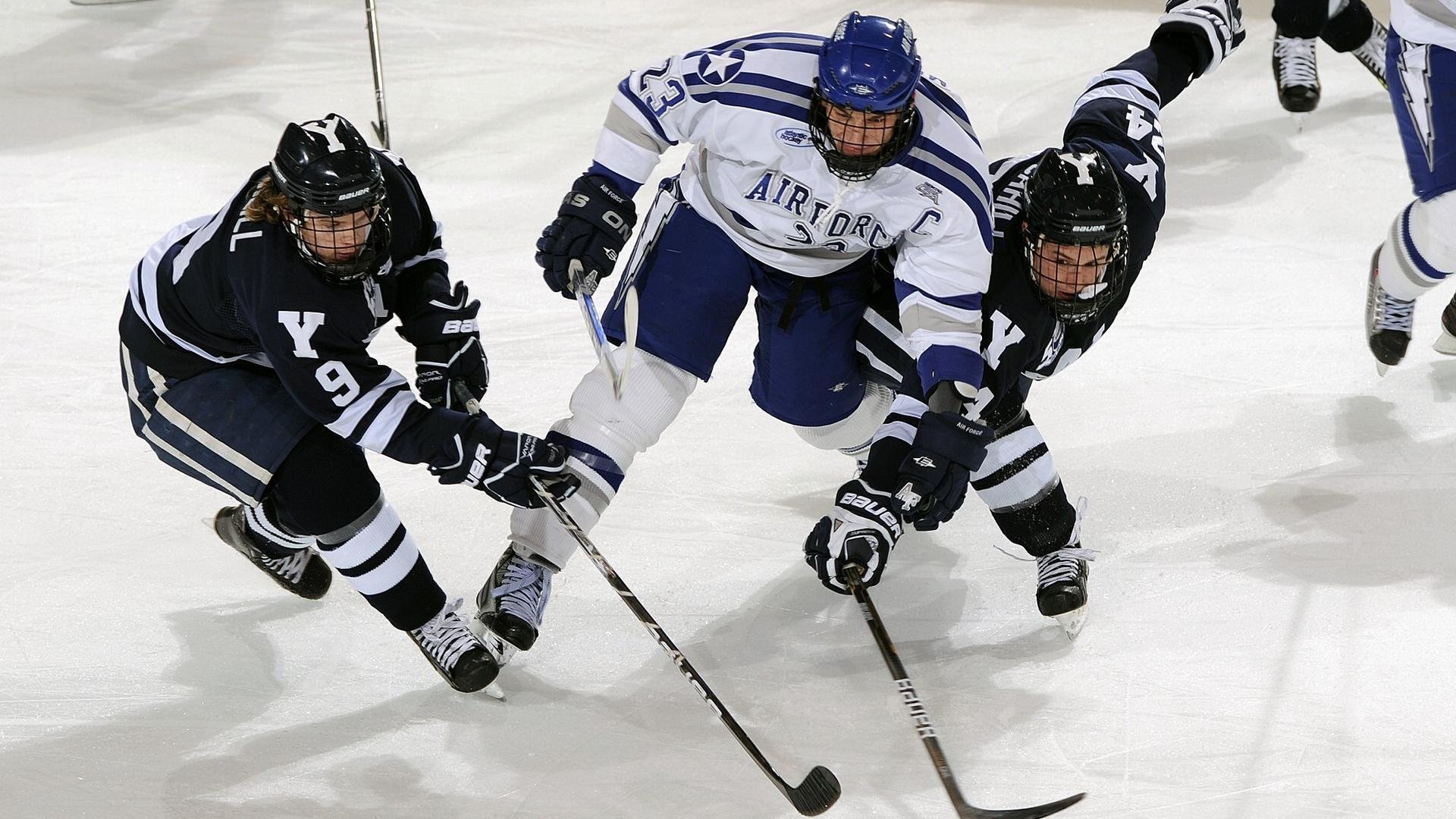 老年人瑜伽课程开设,关注老年人健康,老年人练瑜伽视频教程全集
